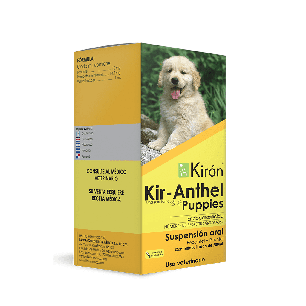 Kir-Anthel Puppies Suspensión Kiron Kir-Anthel Puppies Suspensión Kiron